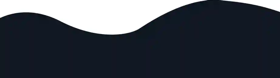 Overview of Lymph Tonic benefits and key features